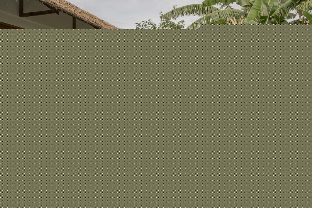 Single Fin building exterior with pool and lush garden pathway